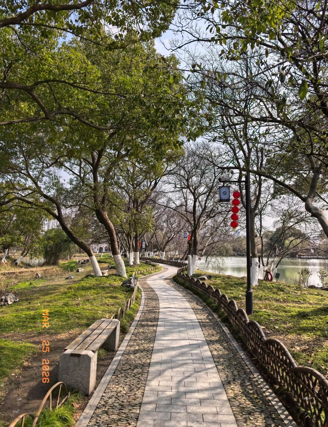 一位性学家说得很现实：“五十岁左右的单身女人，如果已经没什么生理需求了，就没必