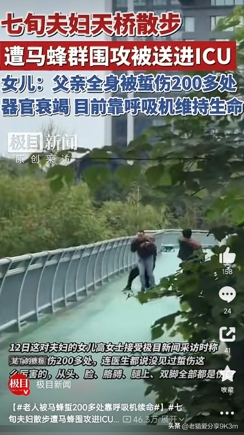 真是飞来横祸！河南汝州，一对七旬老夫妻只是出门散个步，路过一座人行天桥时，一