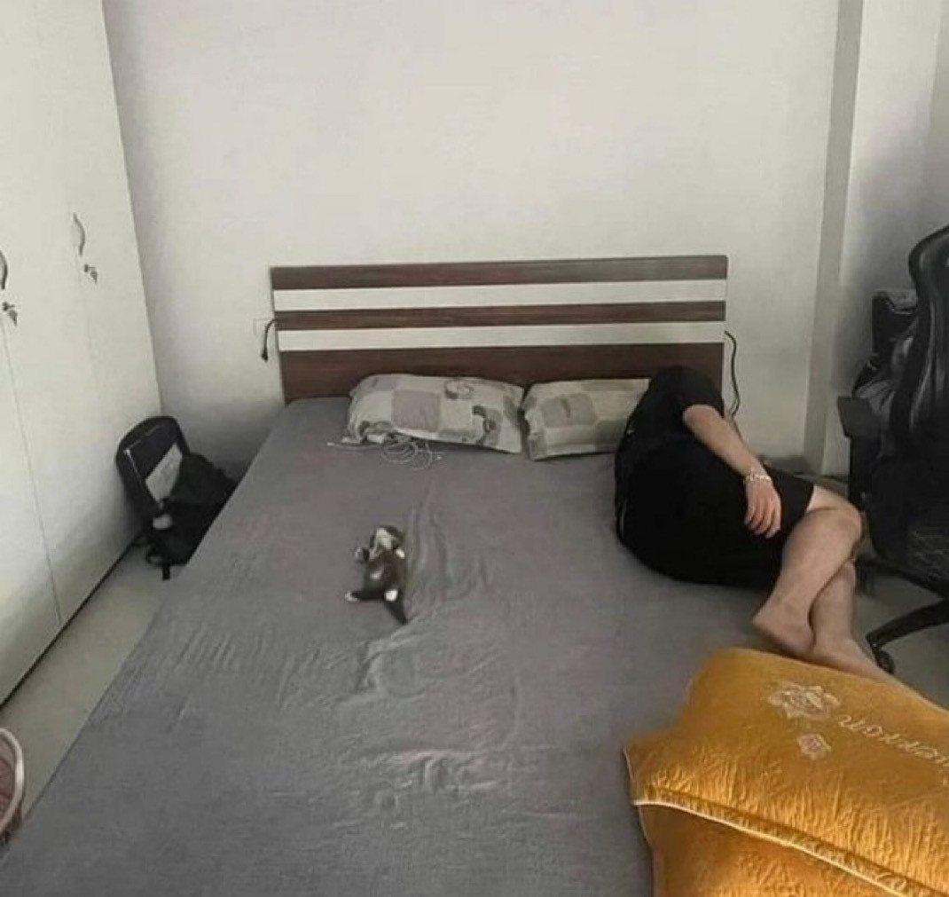 小猫坏，把人挤床边​​​