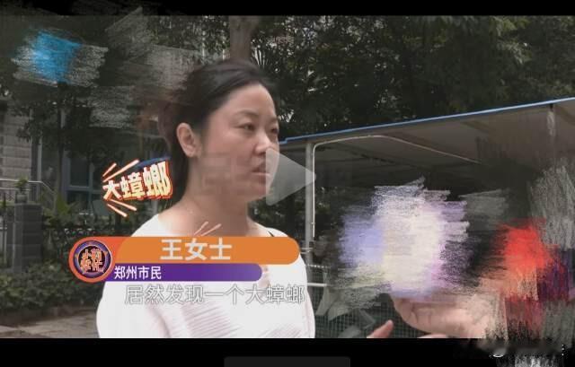 河南郑州，女子点了一份外卖，吃出一只带翅膀的大蟑螂，女子怀疑这家店的后厨已经看不