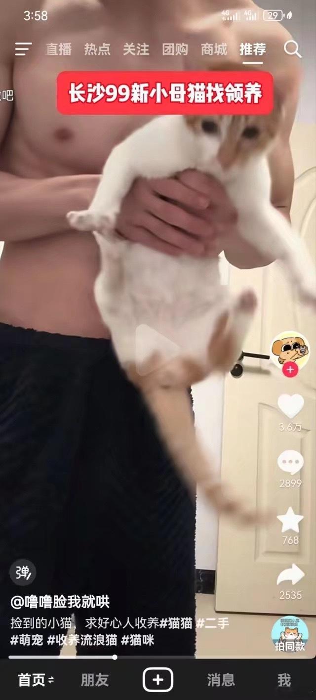 救命我笑得奶茶从鼻子里出来了