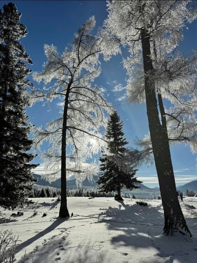 解锁新疆冬季冰雪童话｜阿勒泰·喀斯纳