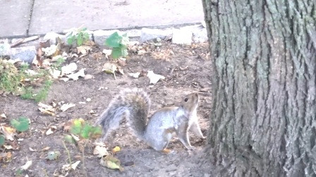 走遍美国35(中英字幕)_土豆视频