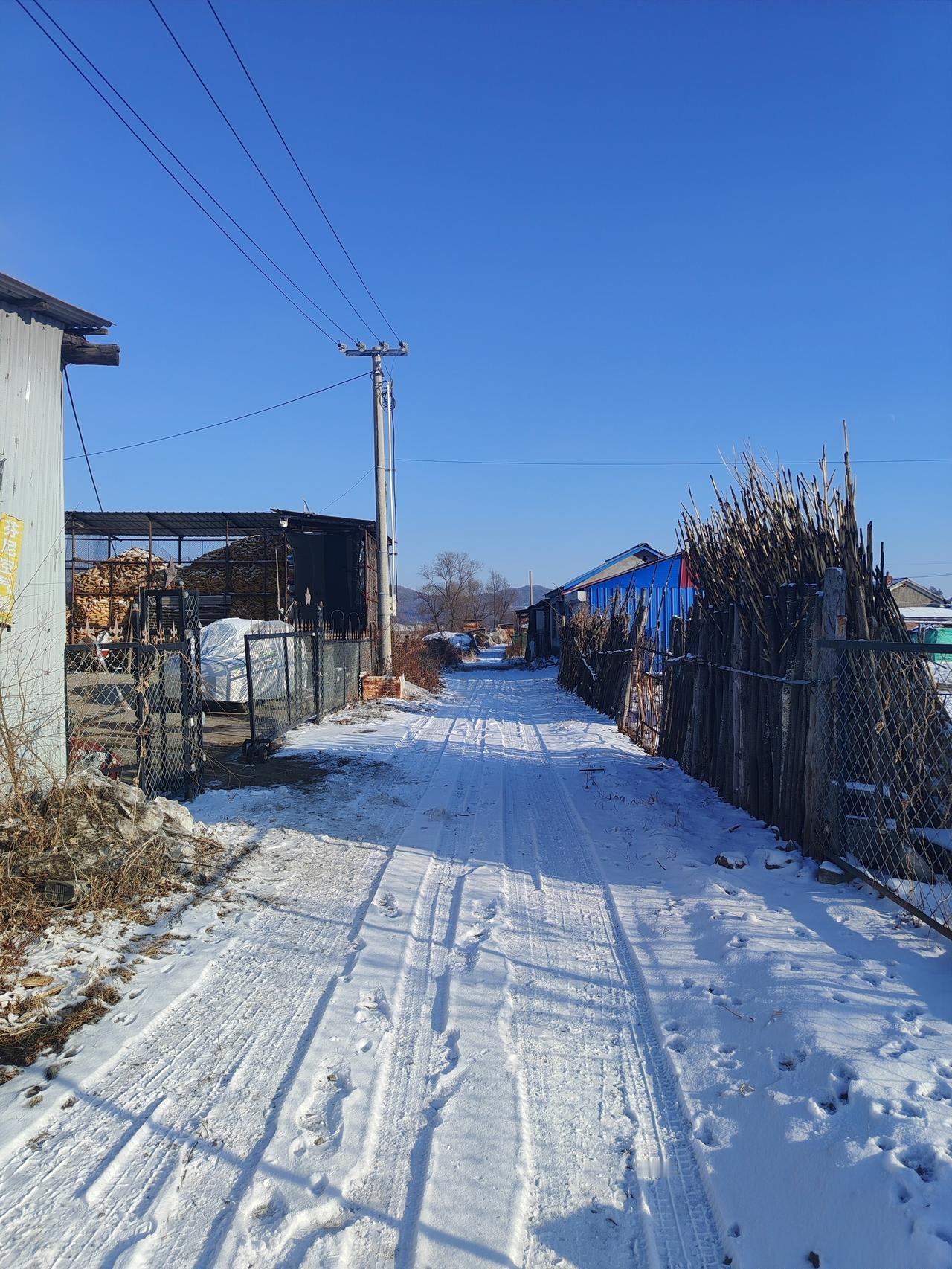 冬日生活打卡季这是我们家门前的大道