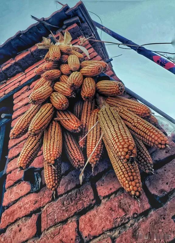 “春种一粒谷”，最经典的接句当属“秋收万颗子”。这出自唐代李绅的《悯农》其一。李