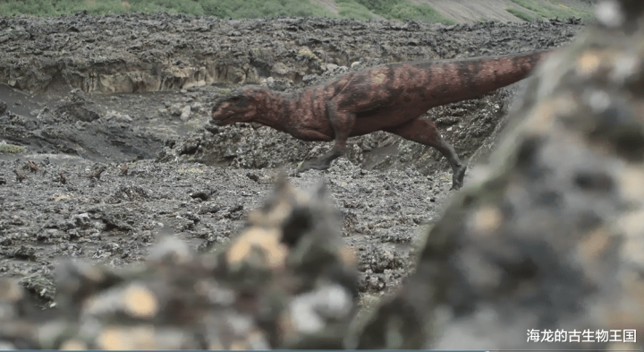 这些年幼的伊希斯龙依旧博冠体育面临诸多危险