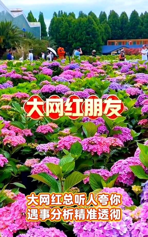 大网红总听人夸你遇事分析精准透彻，做决策又稳又准，到底是怎样的智慧让你如此厉害？