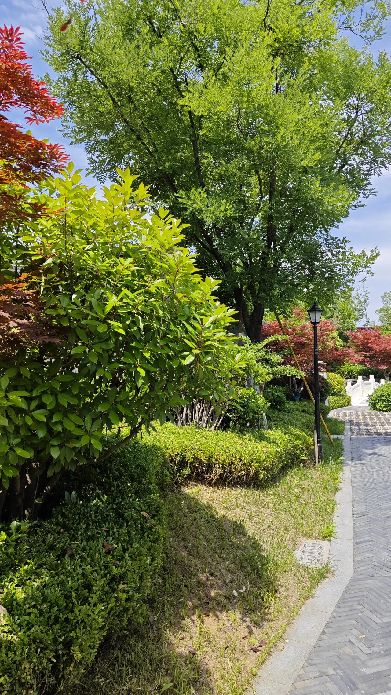 一位经济学家说：“一个月挣三千块钱，你怎么节约也只有三千；一个月挣两万块钱，你