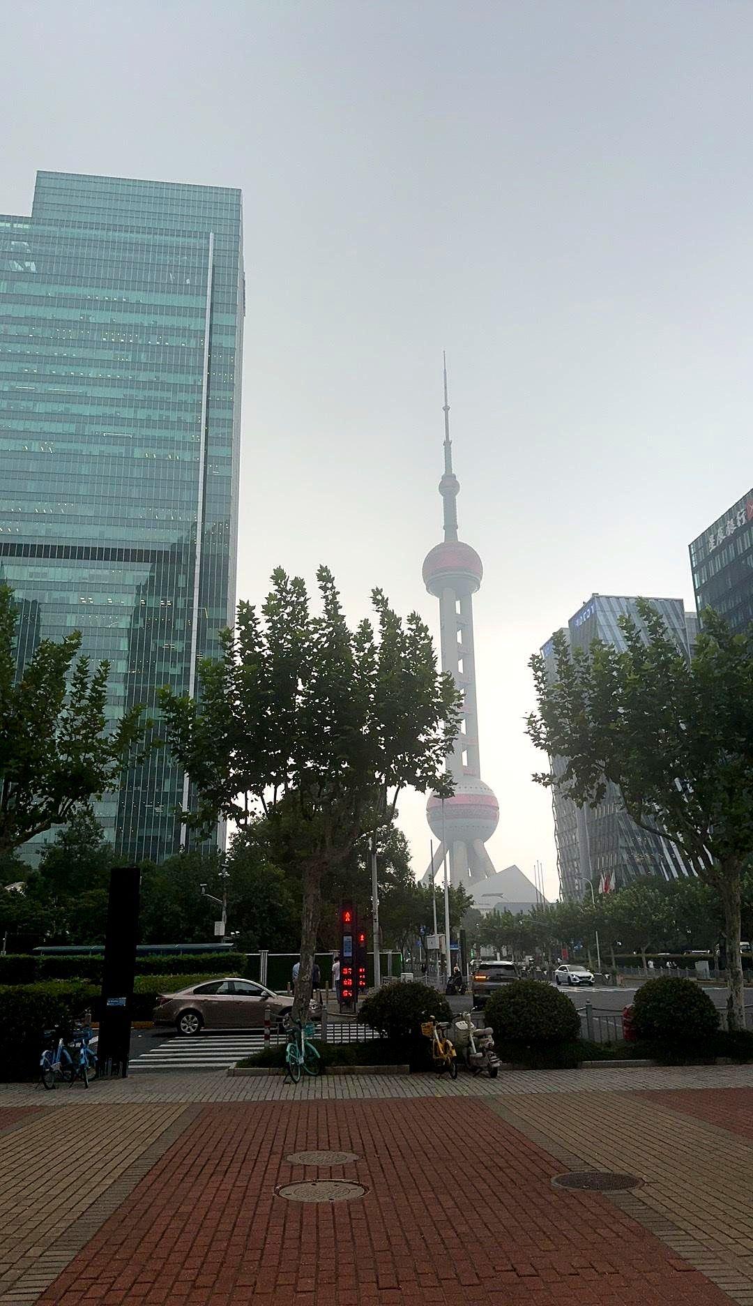 前几天和96年朋友聊天，他在深圳南山开公司利润几百万。他说：“很多人被困打工循