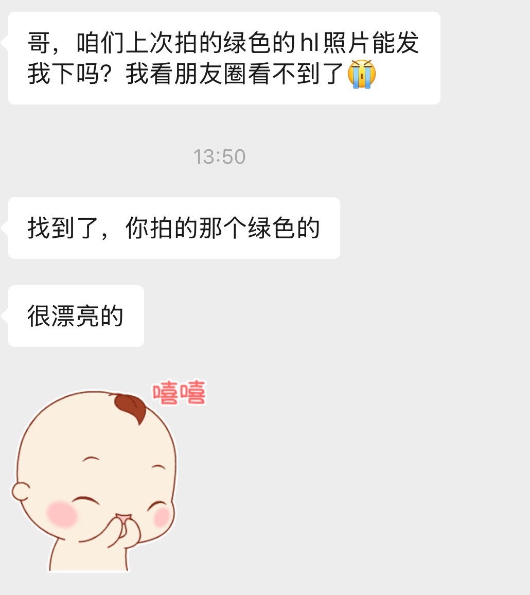 我也是出息了，被人要照片昊铂HL这个绿，在阳光下是真好看哦昊铂hl​​​