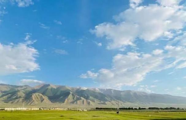 1950年，新疆爆发了震动西北的大叛乱，我们用多久就完成了平叛？新疆这片土地