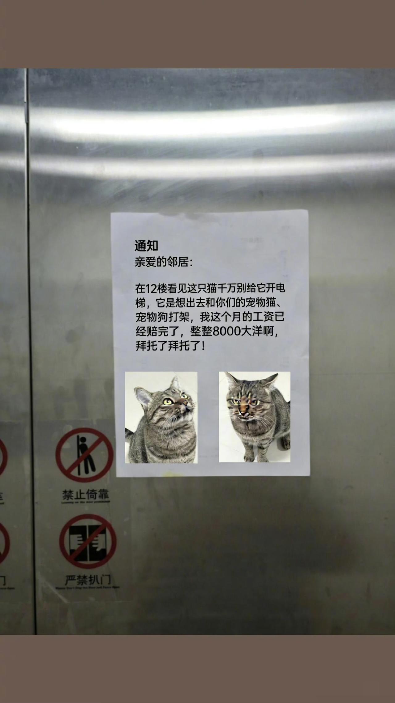 它主人是真没招了