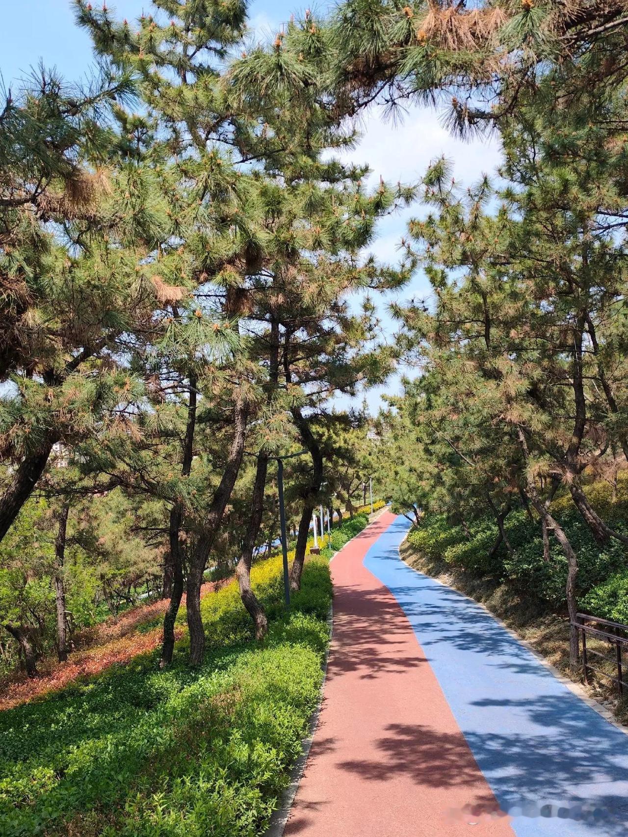 周末去哪儿｜私藏小众景点打卡攻略发现了一处人少景美的宝藏地！趁着周末赶紧去体
