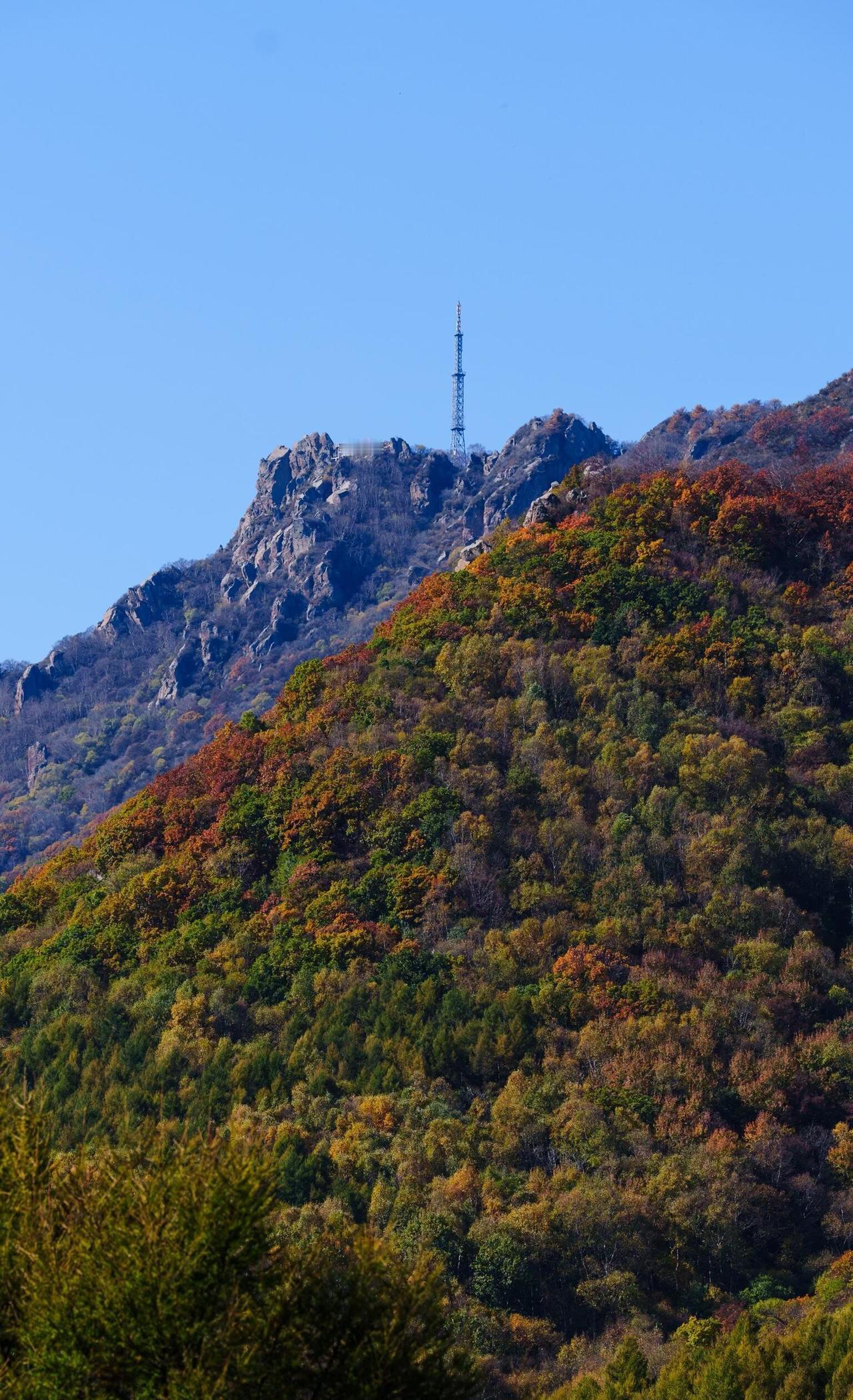 上周一一早冲秋林铺，本想错峰，结果还是被美景惊到！10km徒步全程被彩林包围，落