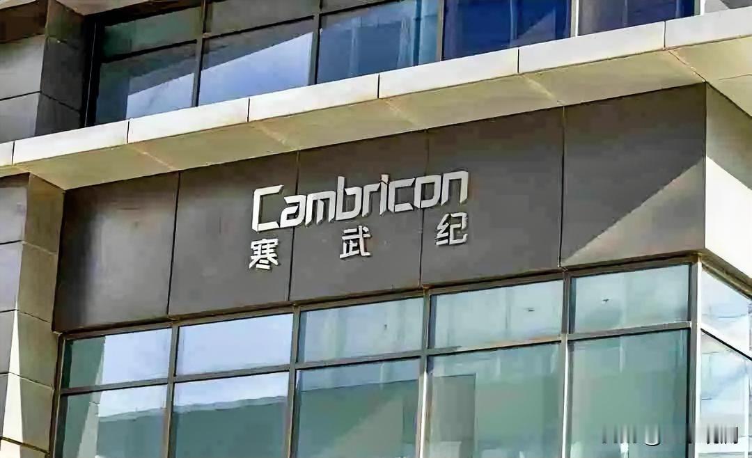 章建平跑了。寒武纪半年报出来，前十大股东名单里已经没有章建平的名字了。去年他