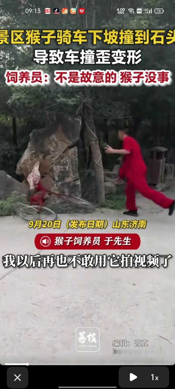 9月20日，山东济南。景区内猴子骑车下坡时撞到石头，导致车被撞歪变形，饲养员没追