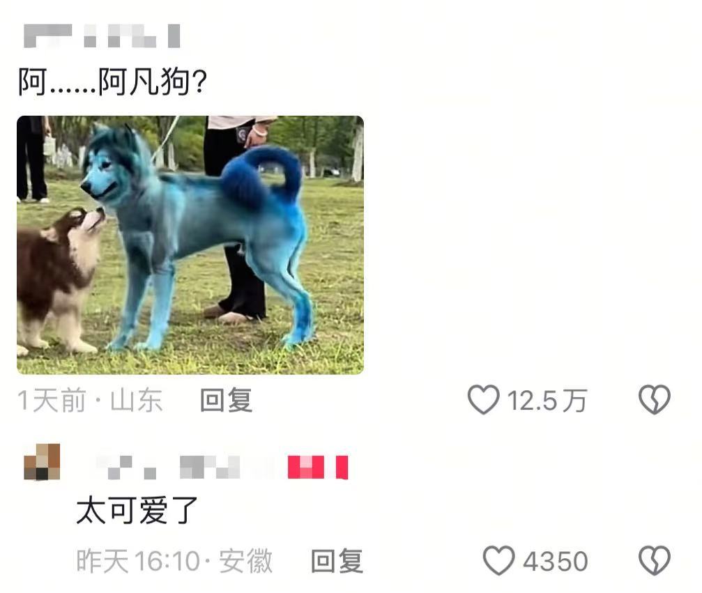 公园惊现阿凡达小狗这波蓝血贵族遛弯，直接让路人瞳孔地震！🐕💙✨​​​