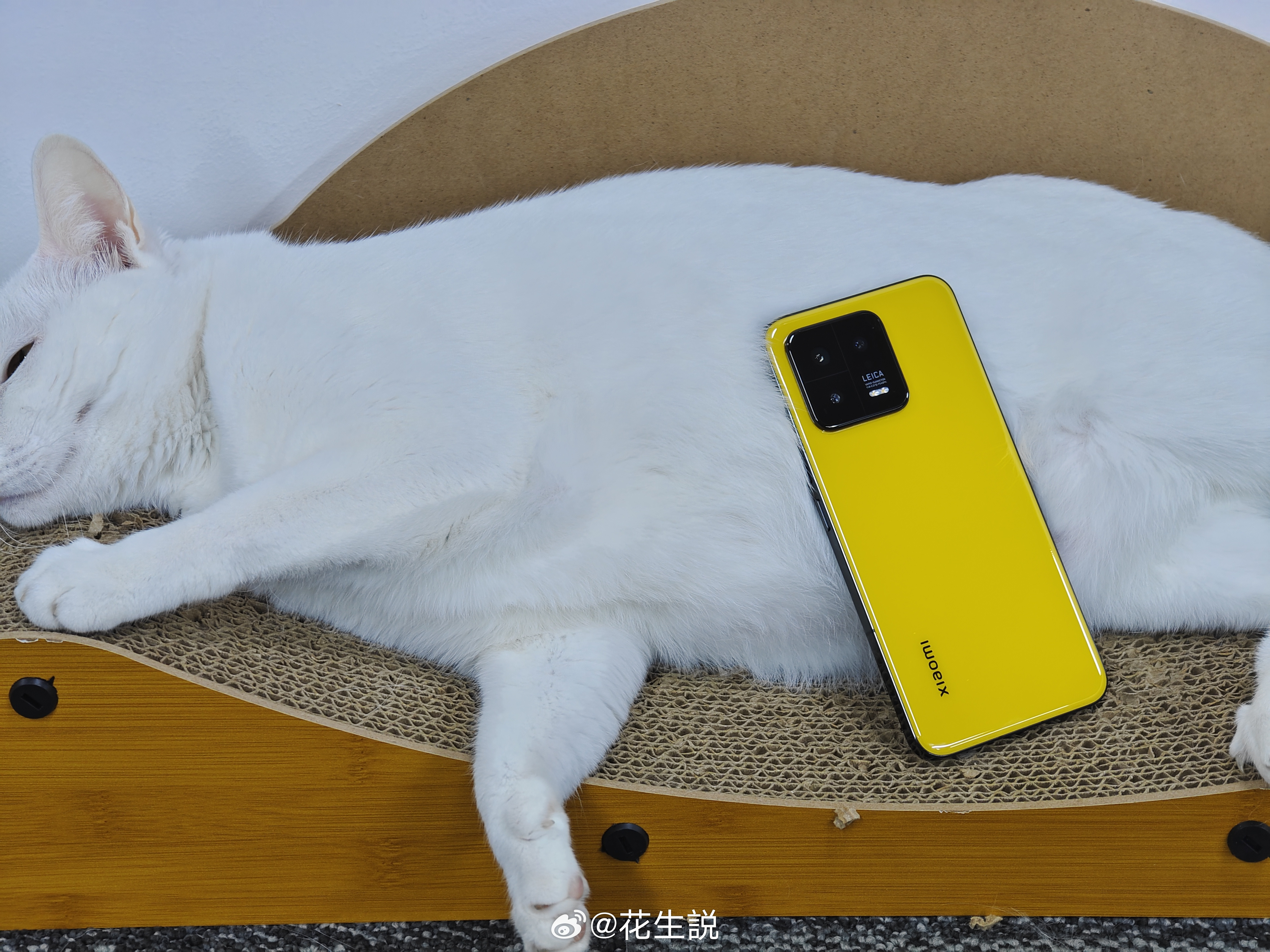 当年小米13的出现，可以说是为小屏旗舰制定了规则，6.3寸左右的大小，直屏，窄黑