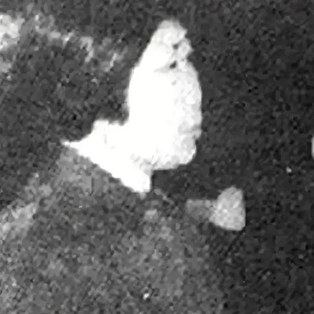 1973年，一位老婆婆走进古玩店，拿出一个破碗问价钱，工作人员接过一看，恶心得差