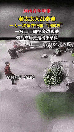 这狗没白养！近日广东，狗狗正在给主人看门，街边过来一个老太太，老太太看四下无人，