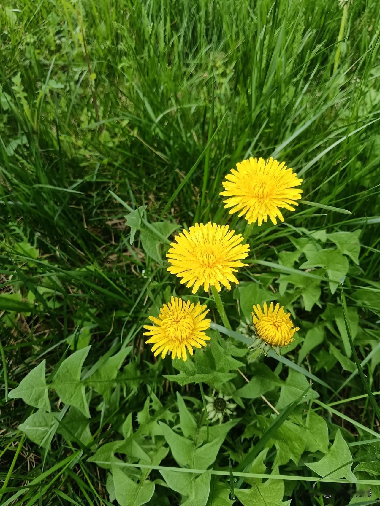 人生，是一场温柔的前行岁月是无声的行者，推着我们在时光的长河里缓缓前行，不曾停