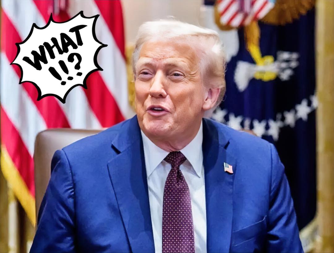 长荣海运这胆子，我看是真肥到天上去了！好好的正经生意不做，非要拿民用货轮打