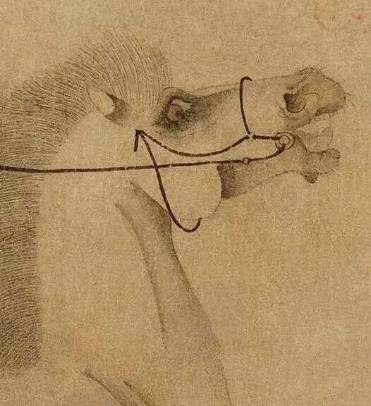 唐韩干《照夜白图》。这匹叫“照夜白”的宝马，是西域宁远国王进贡的“汗血宝马”，