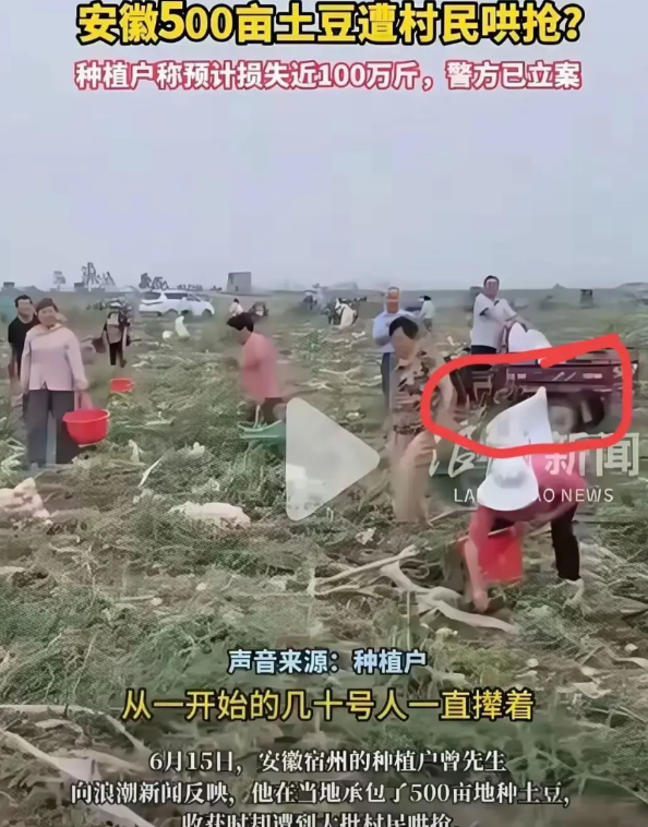 广州怀集哄抢超市安徽宿州哄抢土豆江苏徐州哄抢桃子这个世道怎么了？按说我们的