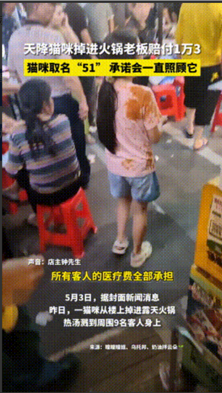 “重庆老板大义！”重庆火锅店野猫掉进锅里后续，烫伤9名顾客后，不料老板就一个字“