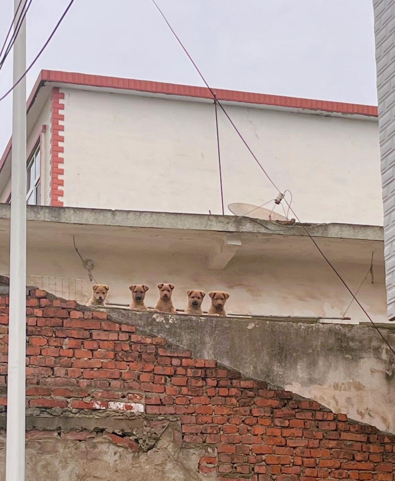 刘震云：）钱是手段，有钱不如有闲，大富大贵一般人承受不起。世间“福财禄寿”俱前