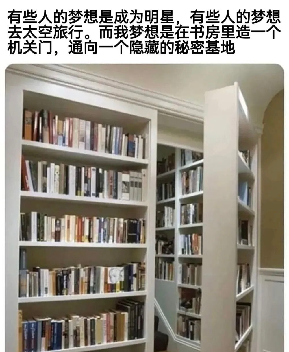 小时候真的很想以后自己的家里有各种暗门机关哈哈哈meme
