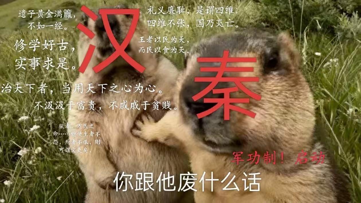 秦：跟他费什么话啊[捂脸哭]