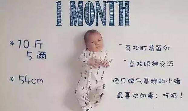 12个月, 12张图, 你的宝宝将要这么成长起来