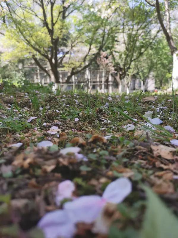 “花开花落花无语”这句上联真的很有意境。它描绘出花自然开落，不声不响，有种淡泊宁