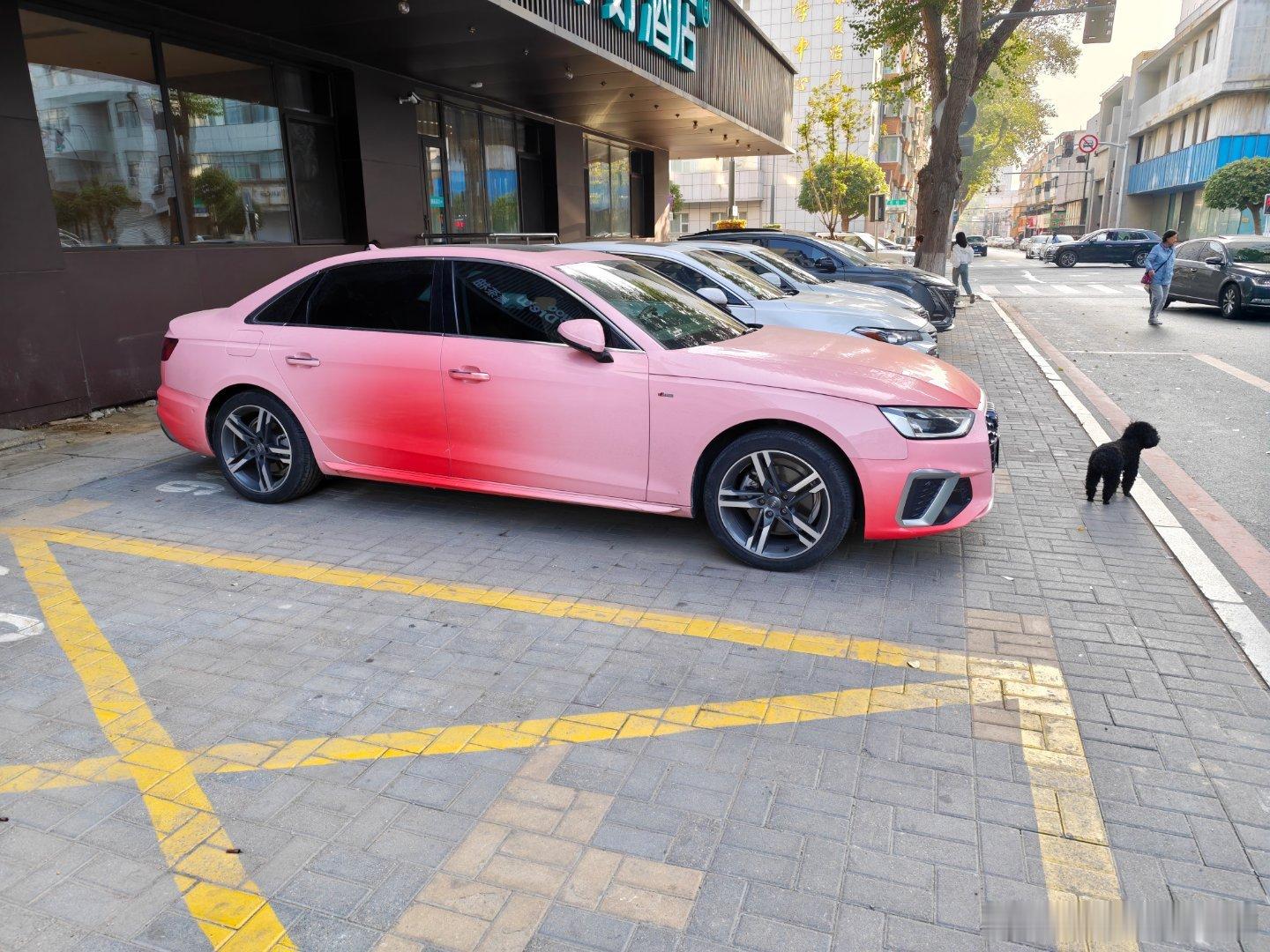 粉嫩的奥迪a4l还派了只🐶守候[大笑]​​​