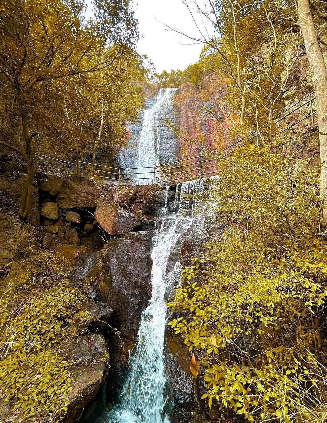 秋日登高锁死西径古道！临安食宿太会了秋日的西径古道，藏着临安最治愈的秋韵～这