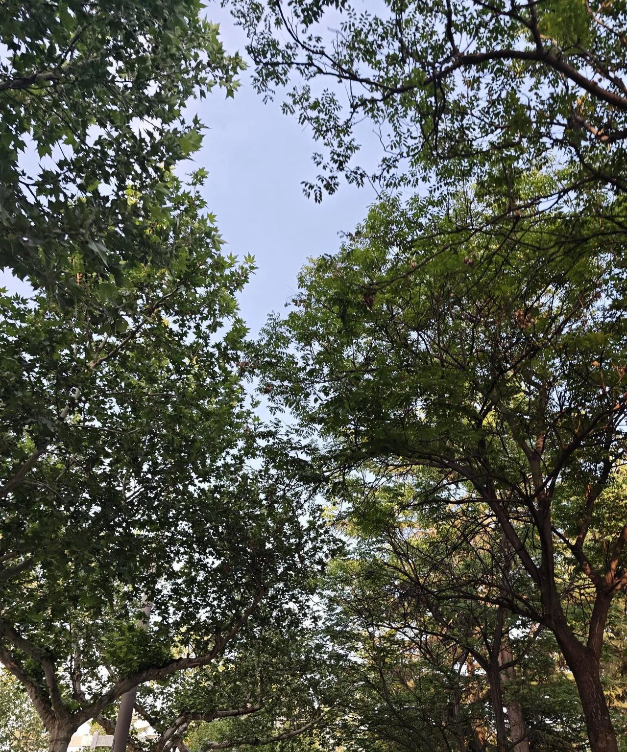 天秤座的详细介绍：性格特点-追求平衡：事事讲究平衡，无论是在人际关系还是在