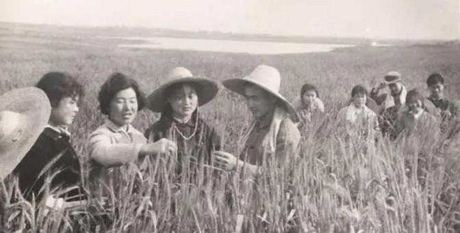 1983年的6月的一天，邢燕子被叫去了天津市委组织部。一位负责人不失礼貌地对她说