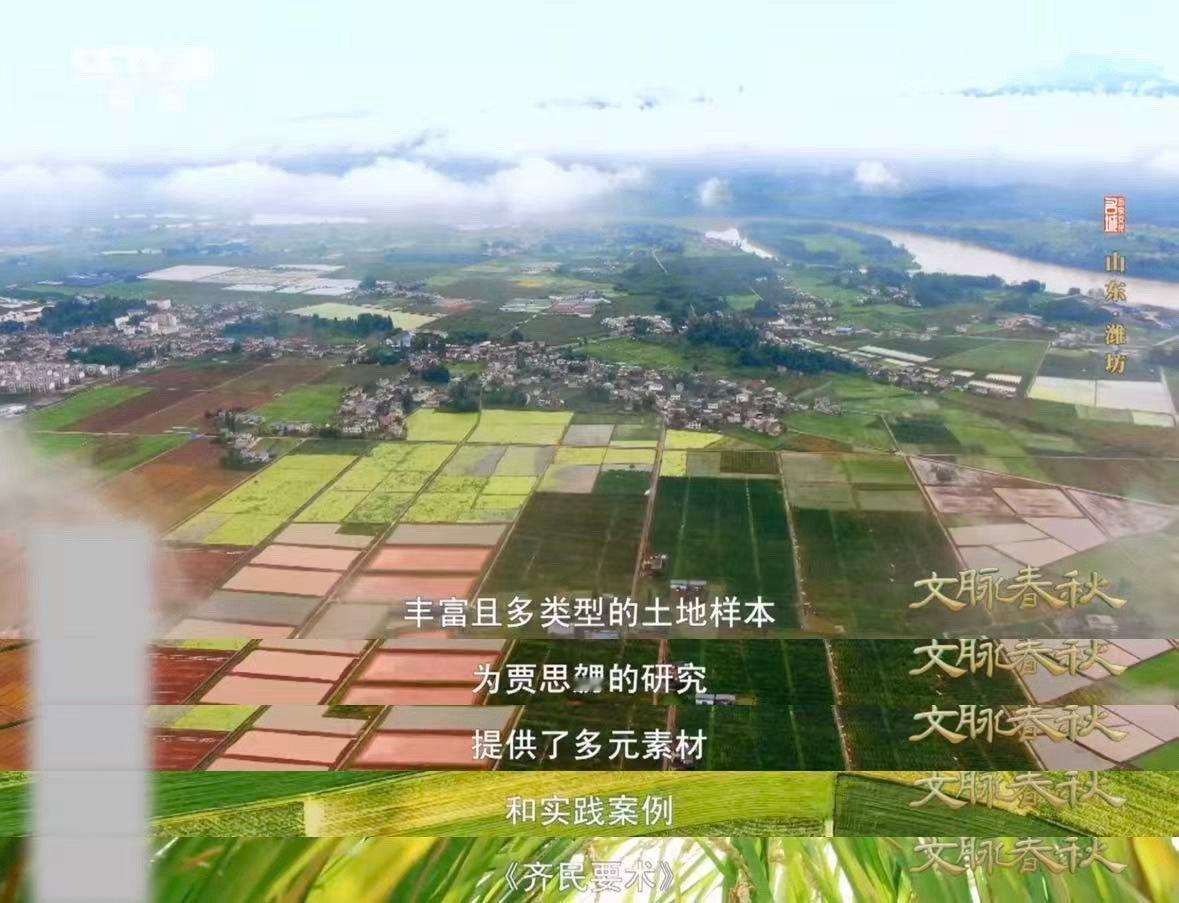 山东人种菜1500年前就很顶了古人的农书含金量还在上升大水培育芹菜、草穰覆菜防