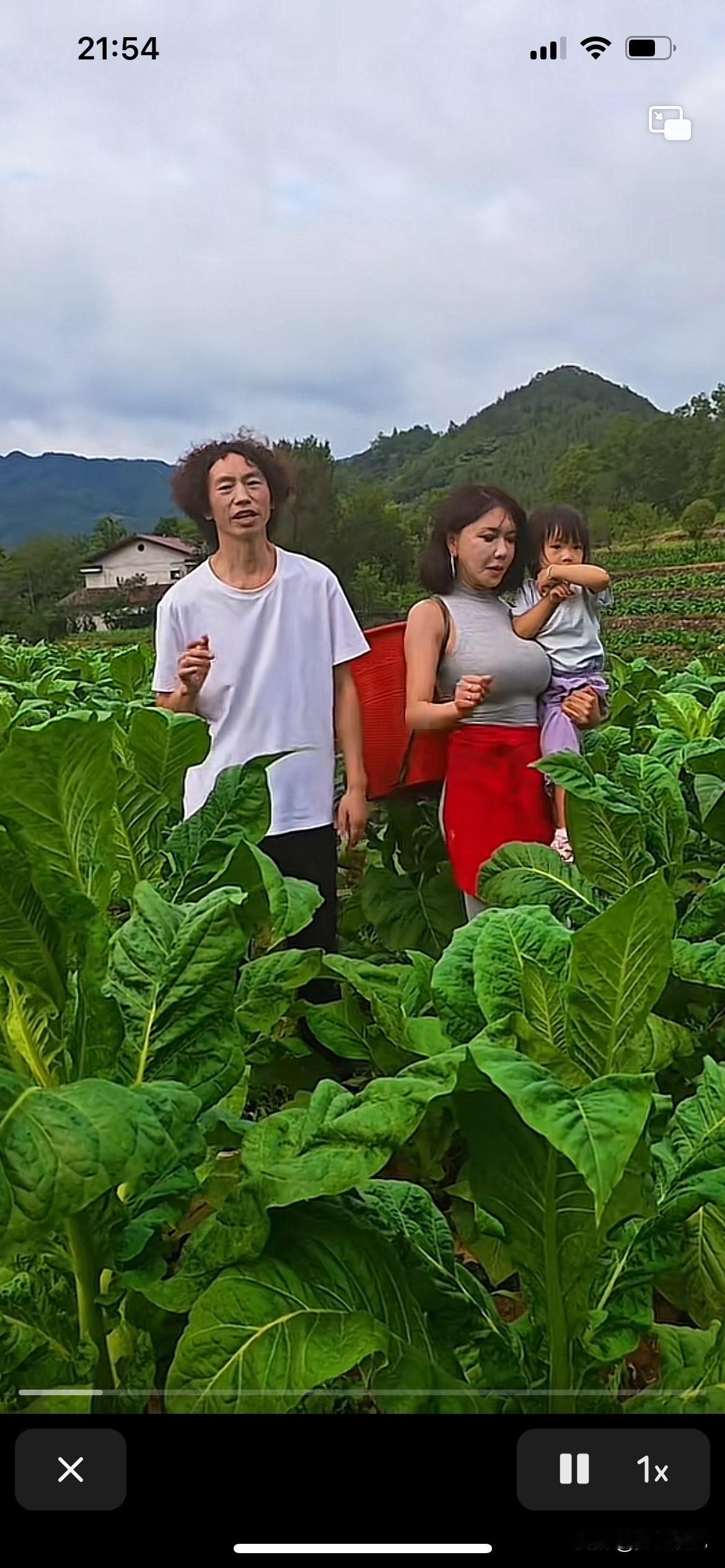 庞麦郎老师自从被龚玥菲抛弃之后，就开始流浪在各个酒吧驻场，以为这是一段很美好的恋