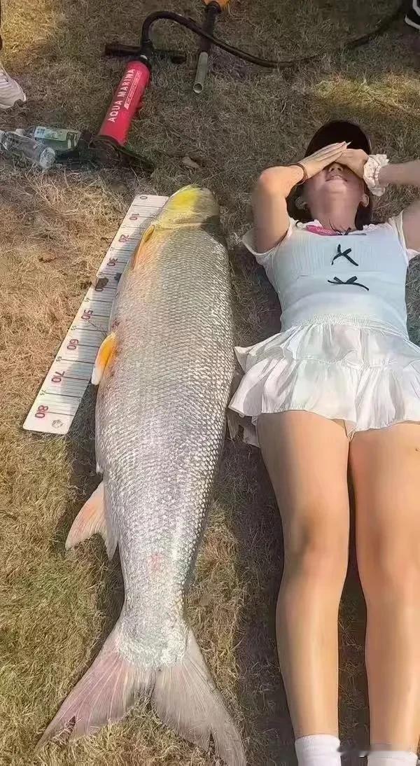 物理世界：空气、重力、磁场、电磁波（大部分）、能量、暗物质/暗能量等，是宇宙和地