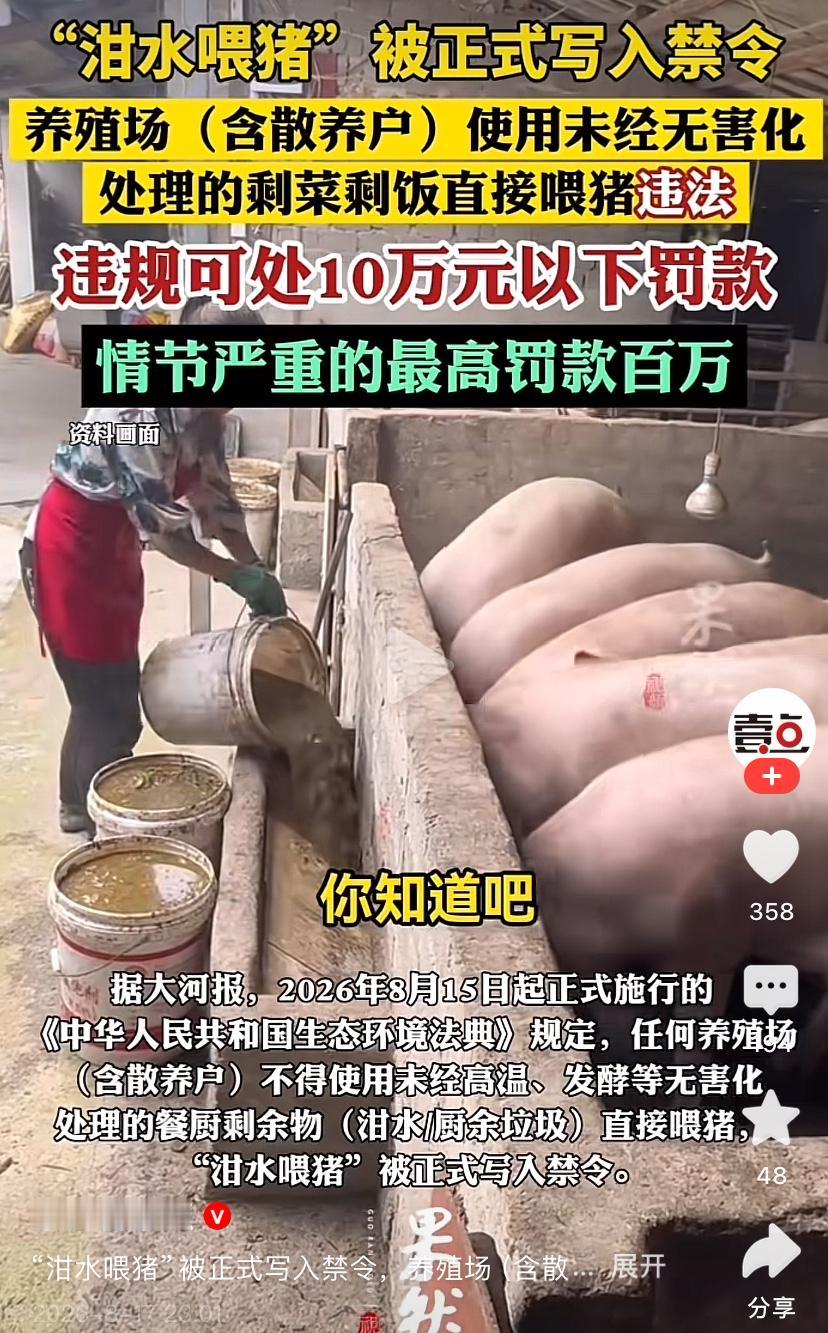 泔水喂猪被禁！很多人跟着瞎起哄，这其实是在救你，并非害你！今年8月15日起，禁