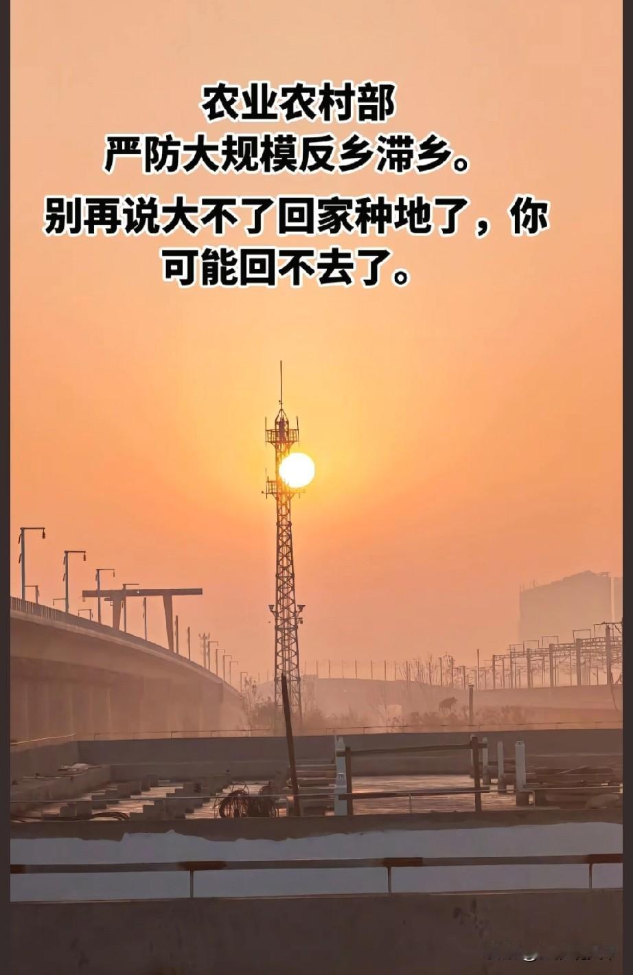 年轻人不会大规模返乡，因为他们讨厌那些老家虚假的人情来往防止大规模返乡滞乡，最