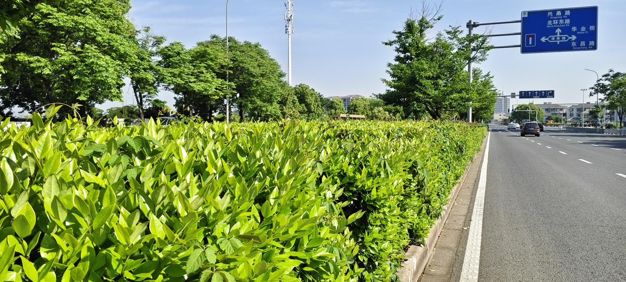 如果房价回到2千多，买不买还真得看需求。要是有住房刚需，那不管两千还是两十万，该