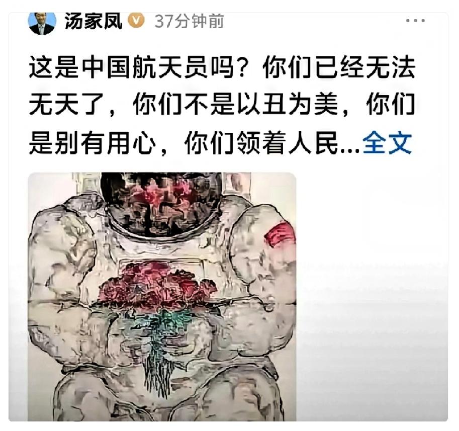 汤家凤再开炮：这是中国航天员吗？你们领着人民的俸禄，在丑化英雄人物！！看到这