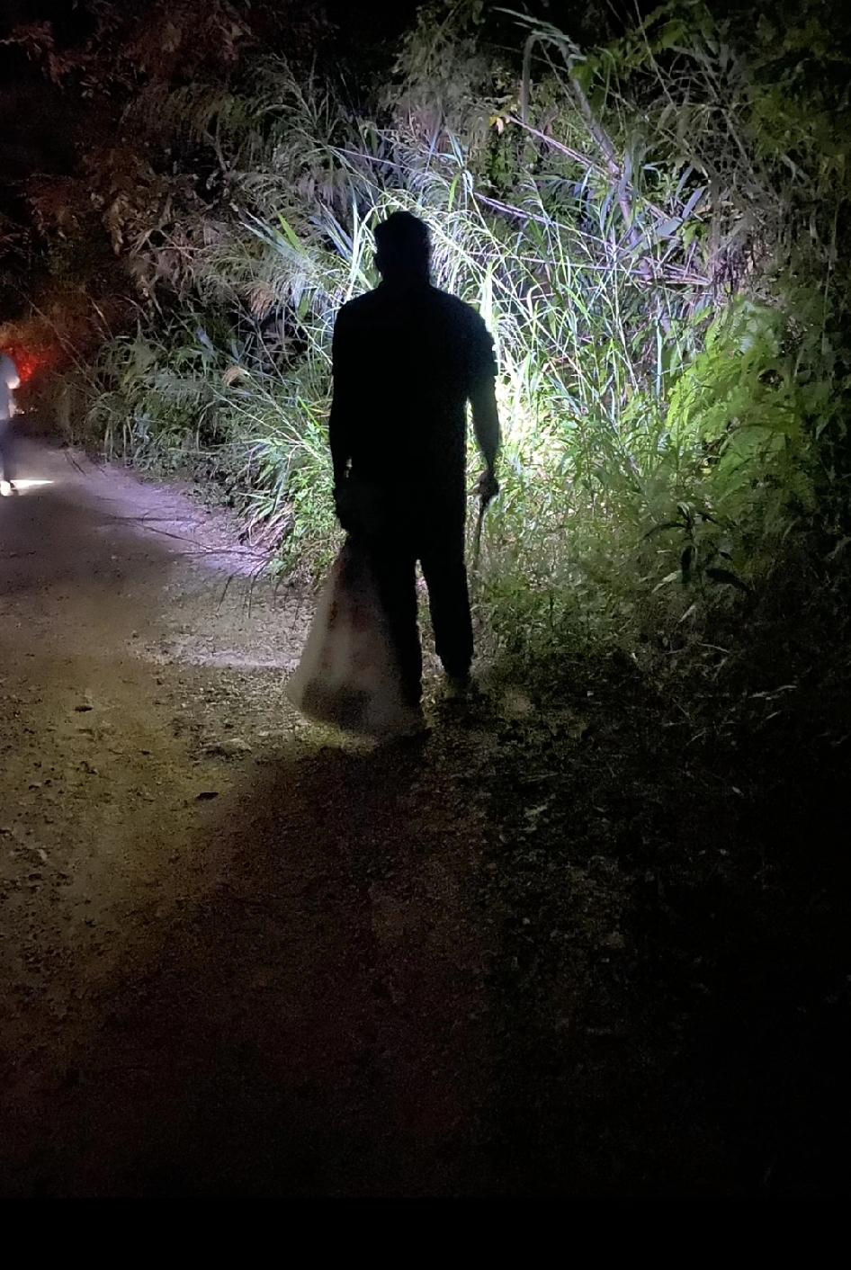 白天组团放生，夜里组团抓捕。广东清远的这批猫咪绝境求生，都是源于人类的“穷折腾”