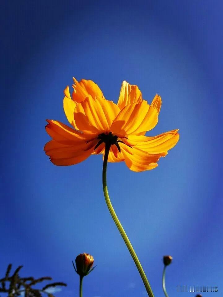 夫妻之间不要总是吵架了——夫妻吵架感悟对门邻居两口三天两头吵架，听着也就