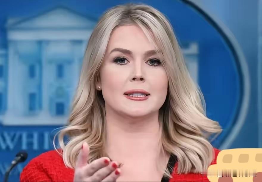 美国白宫消息！11月25日新消息，白宫新闻秘书莱维特公开宣布，本周美国总统特