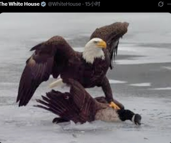 冬奥会22日男子冰球决赛美国队以2:1险胜加拿大队，然后白宫X平台官方账号发了一