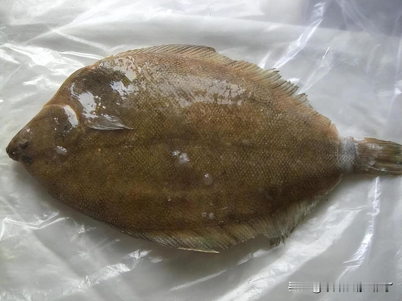 曲艺赛道这么热闹，这么热闹！谁最失意？恐怕就要属偏口了！为啥？因为他总是